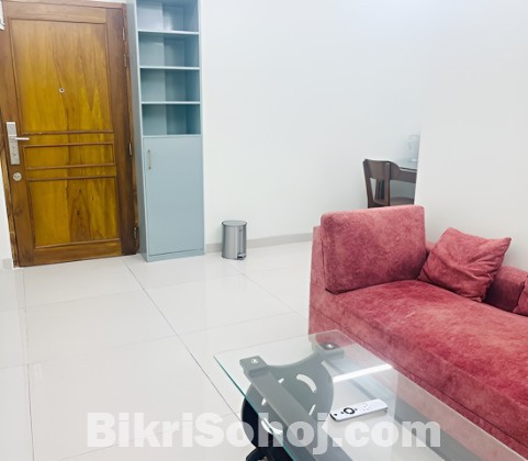 Exclusive 2BHK Fully Furnished Apartment